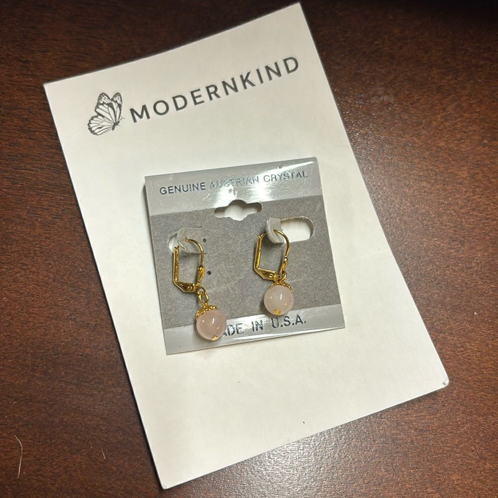 NWT earrings 